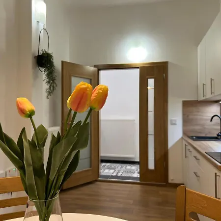 Penthouse City Center Apartment Bihać