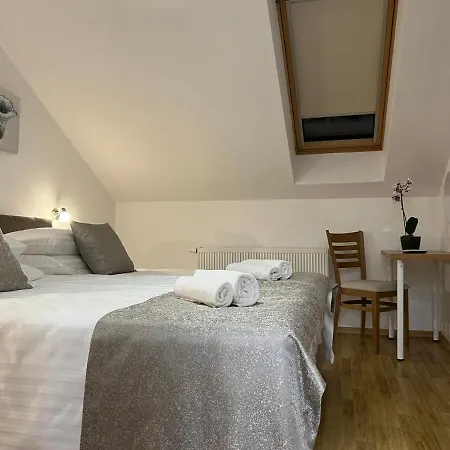 Apartman Penthouse Center